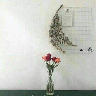 大话三国世界杯